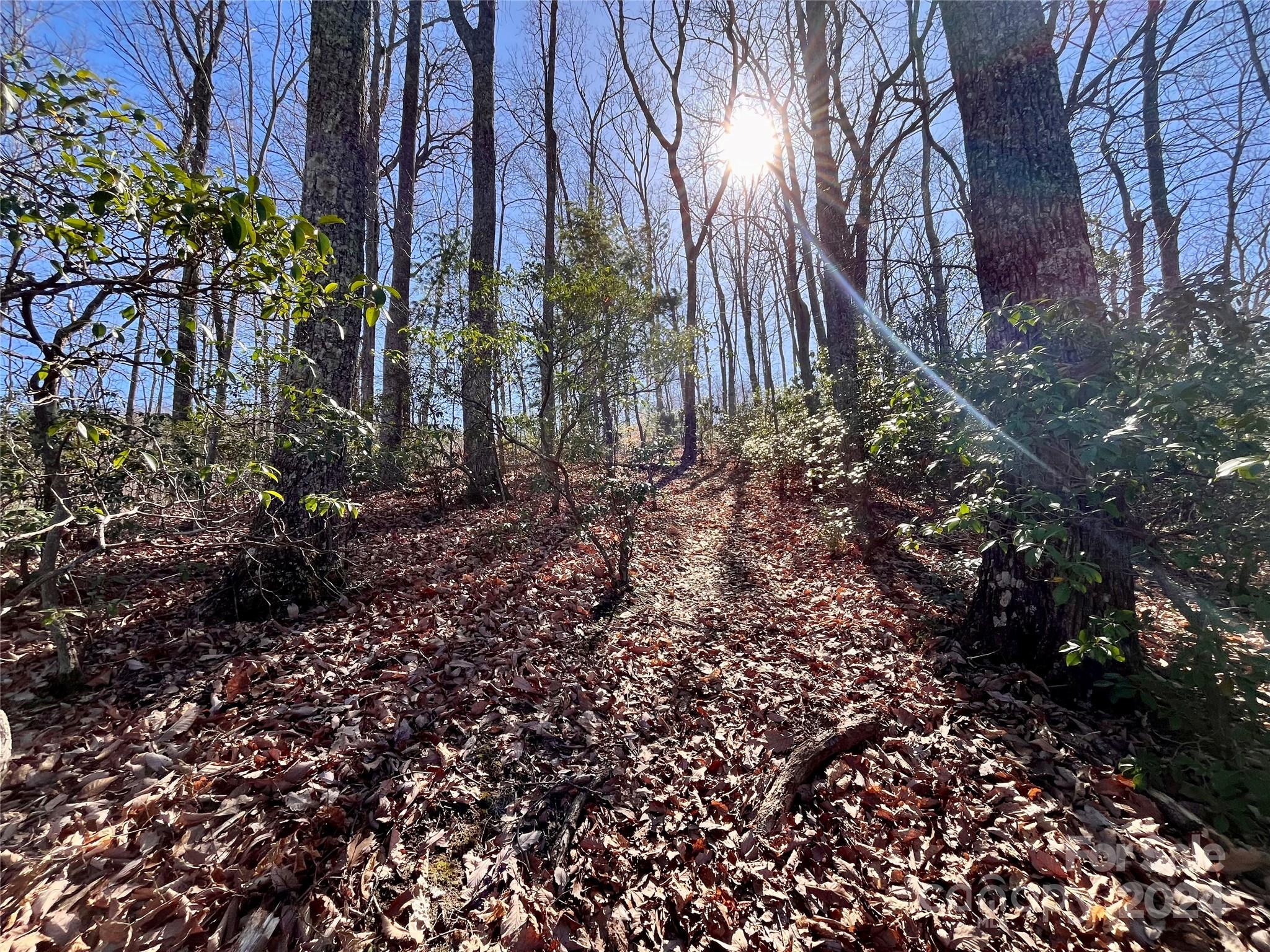 Lot 147 Big View Drive Property Photo 12