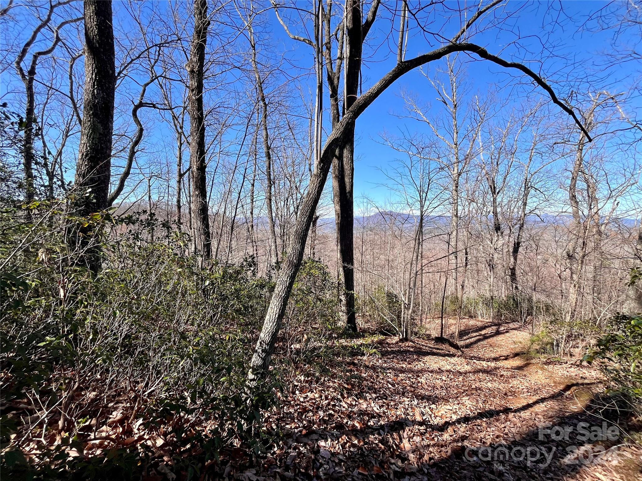 Lot 147 Big View Drive Property Photo 13