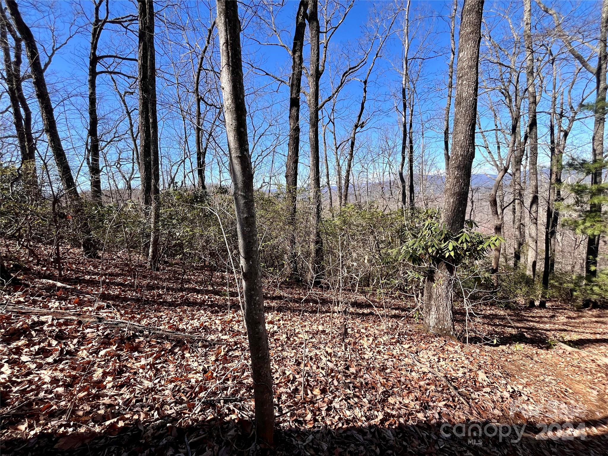 Lot 147 Big View Drive Property Photo 18