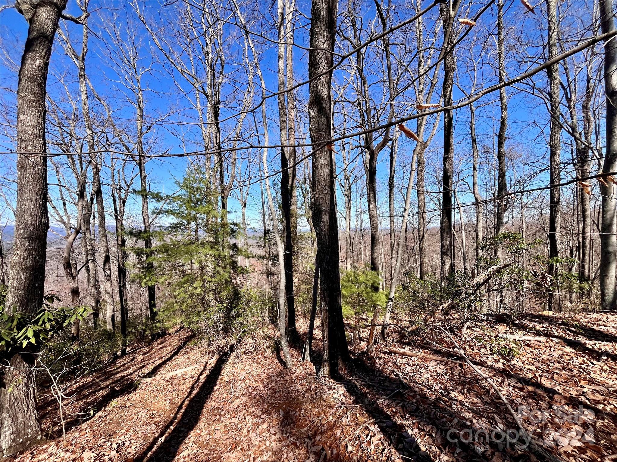 Lot 147 Big View Drive Property Photo 19