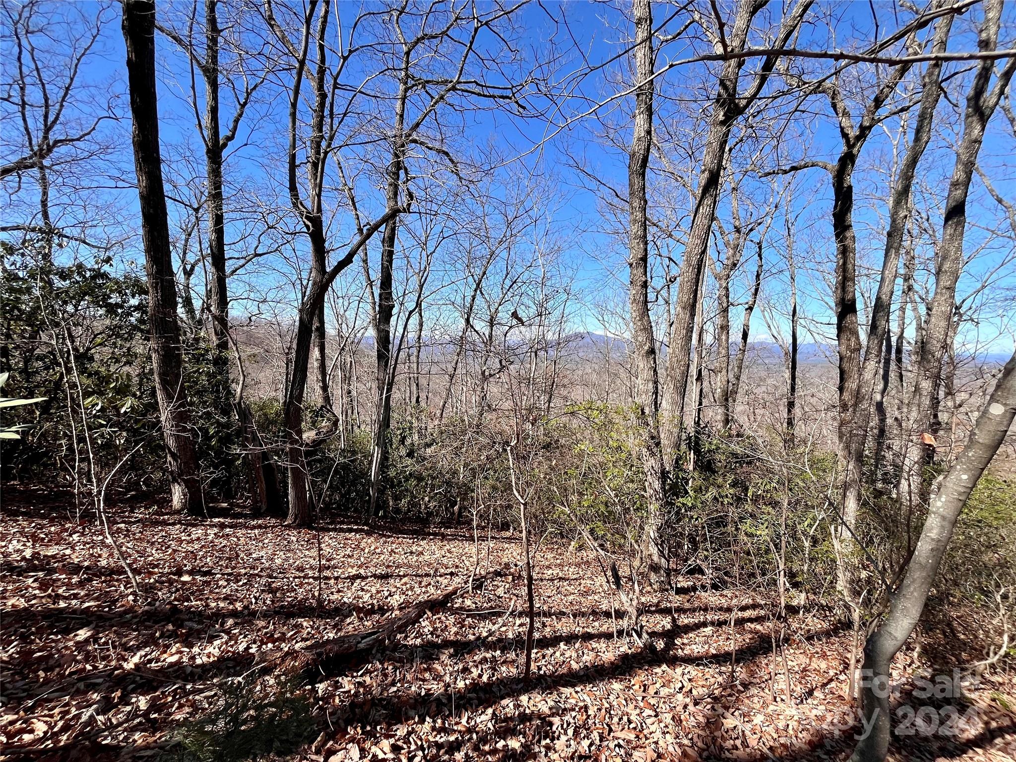 Lot 147 Big View Drive Property Photo 22