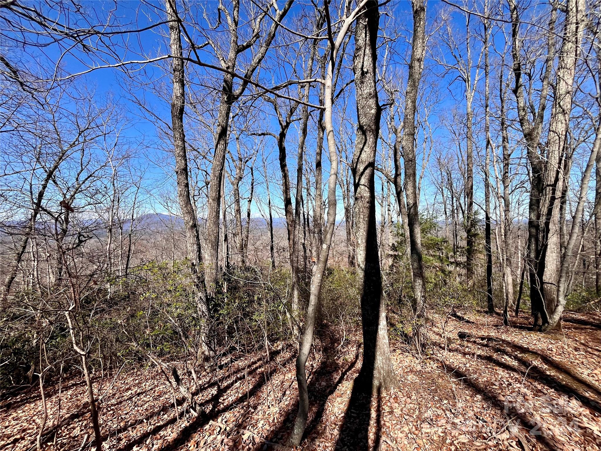 Lot 147 Big View Drive Property Photo 24