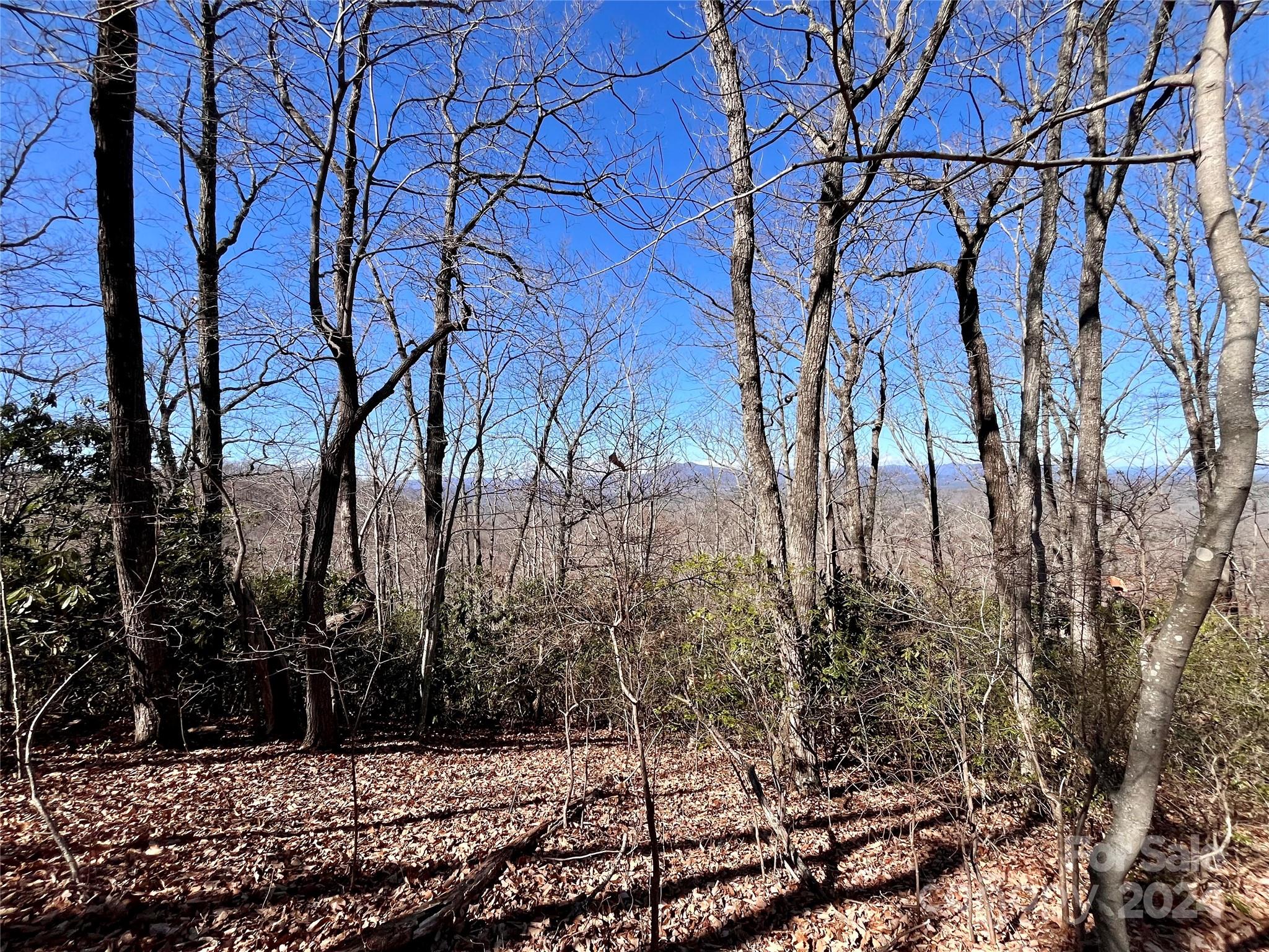 Lot 147 Big View Drive Property Photo 25
