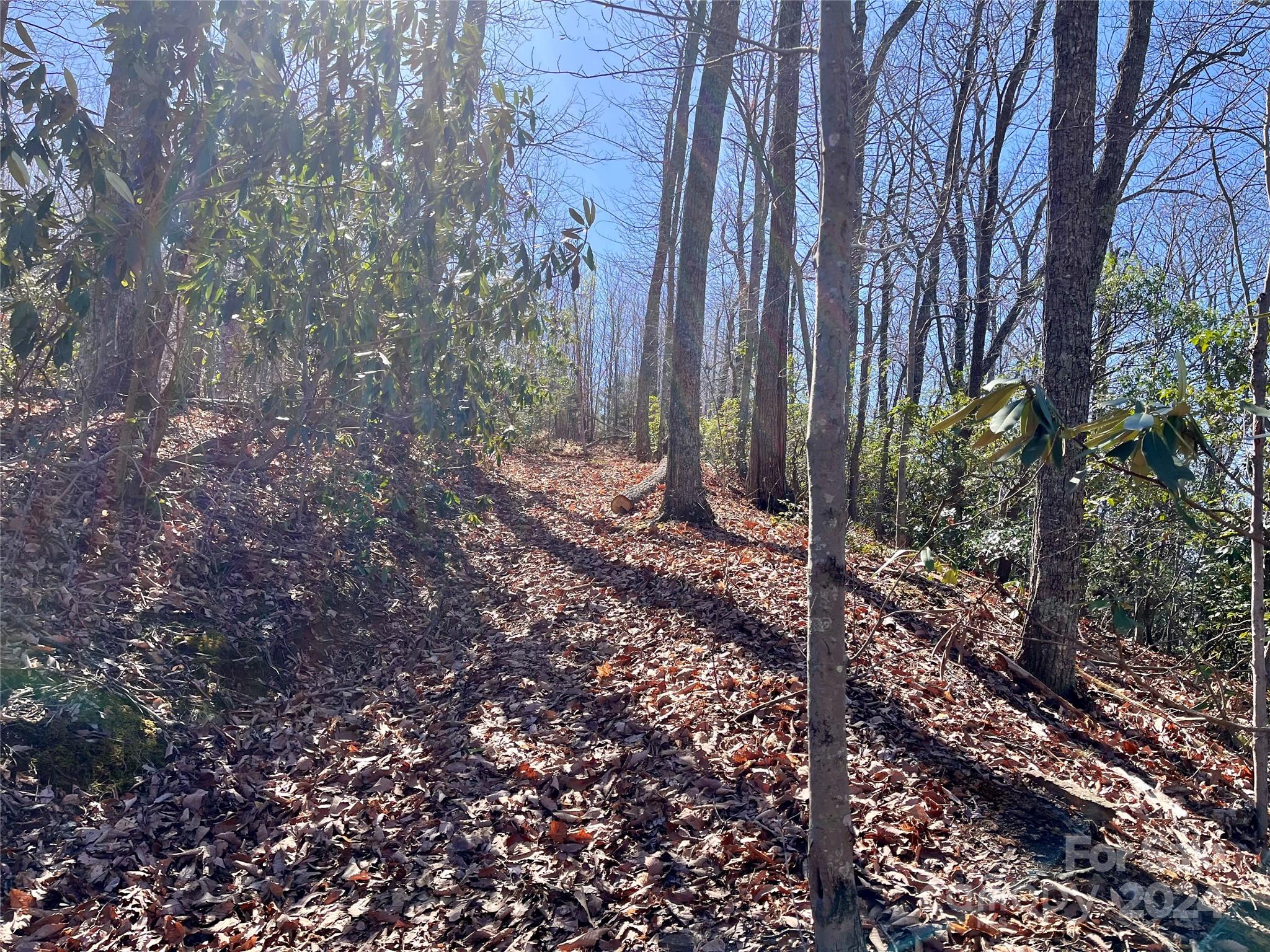 Lot 147 Big View Drive Property Photo 26