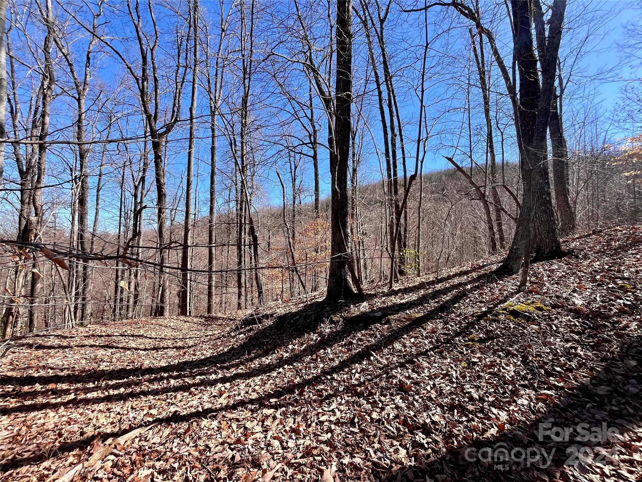 Lot 147 Big View Drive Property Photo 28
