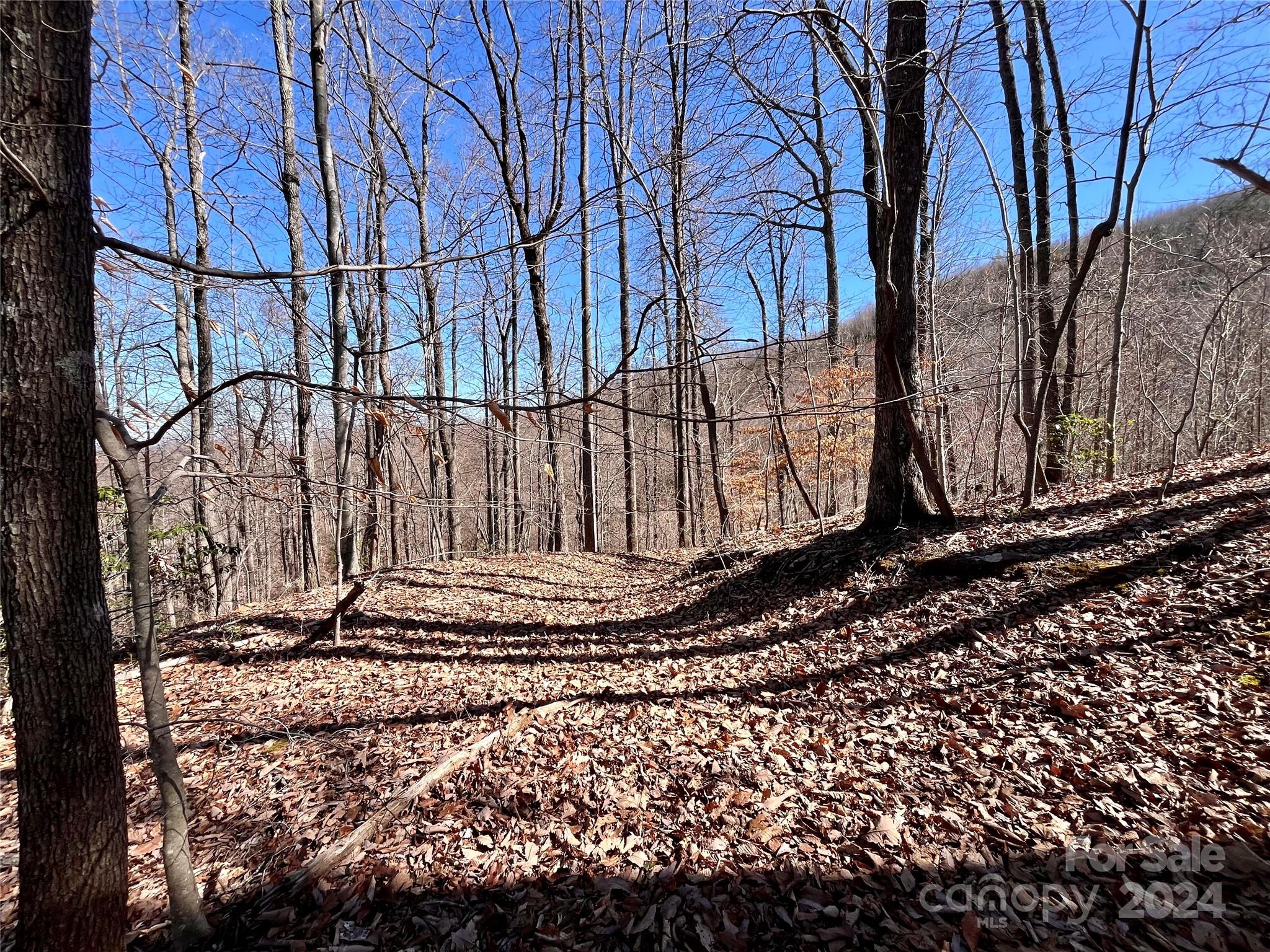 Lot 147 Big View Drive Property Photo 30