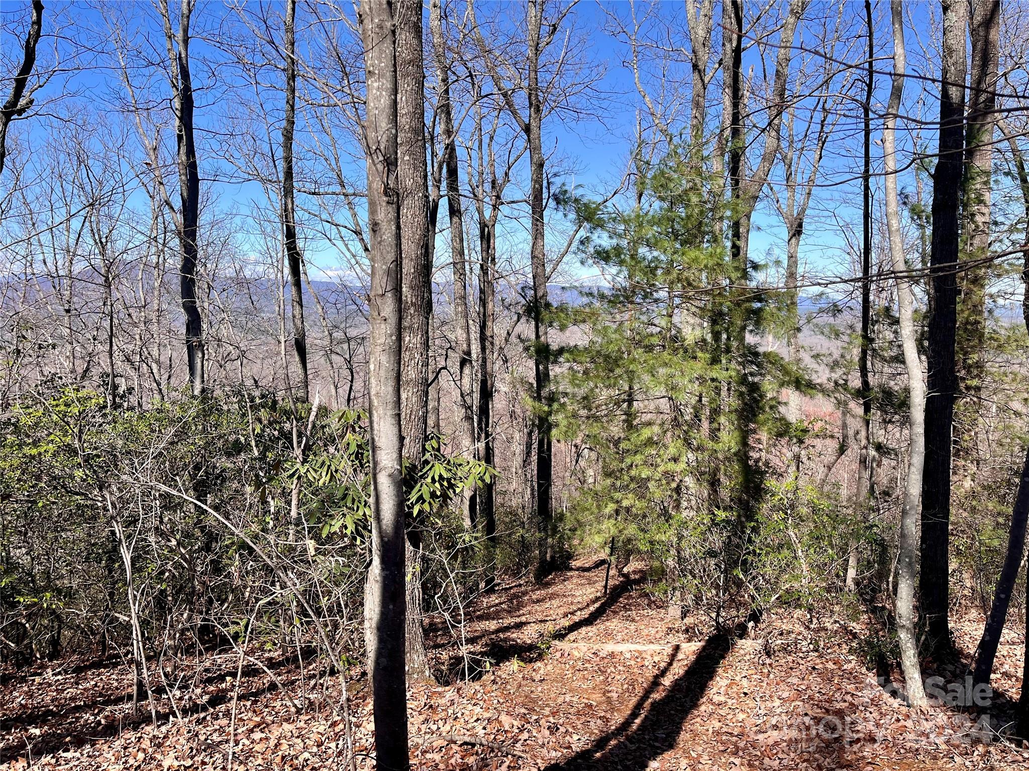 Lot 147 Big View Drive Property Photo 32