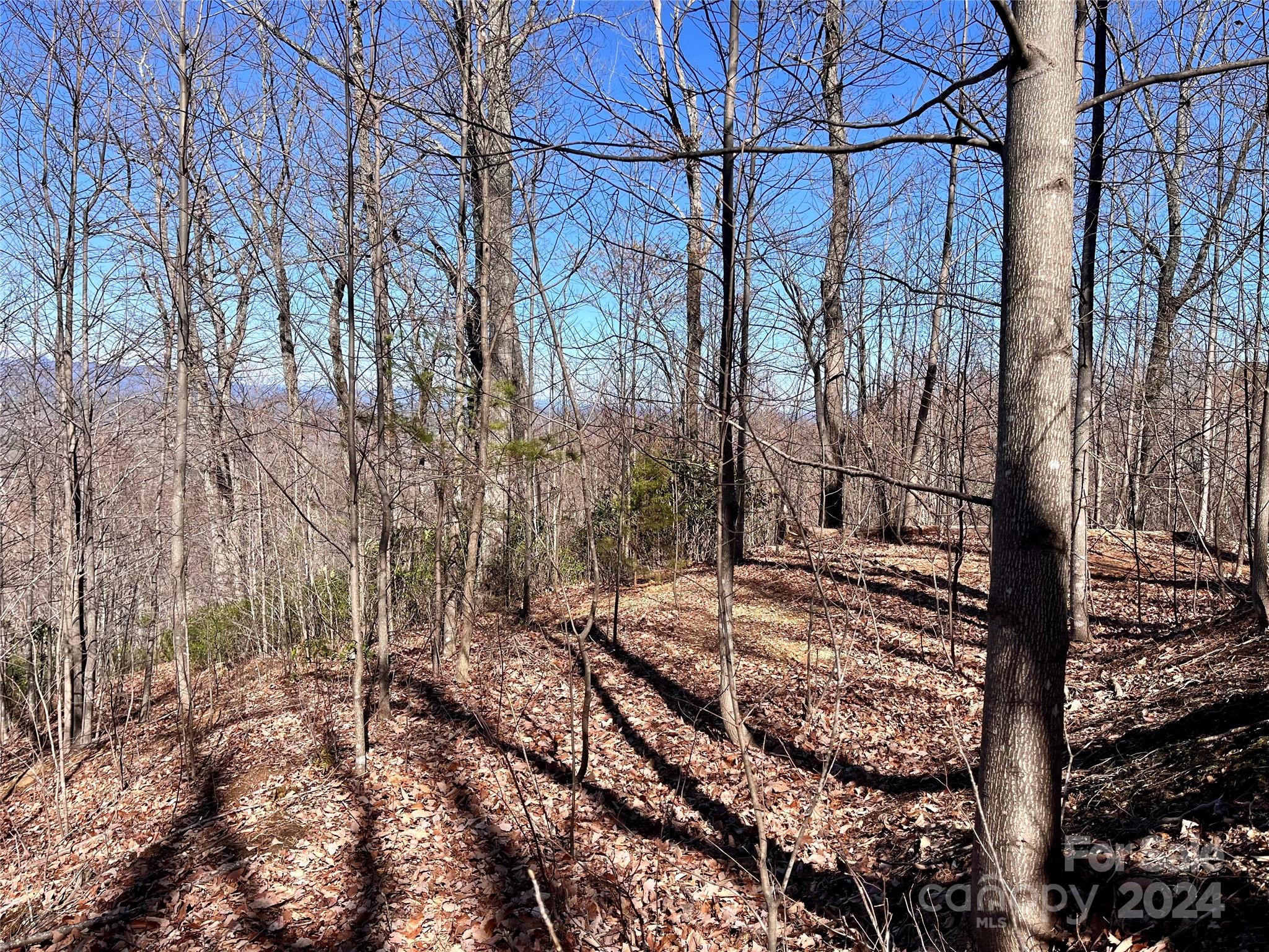 Lot 147 Big View Drive Property Photo 34