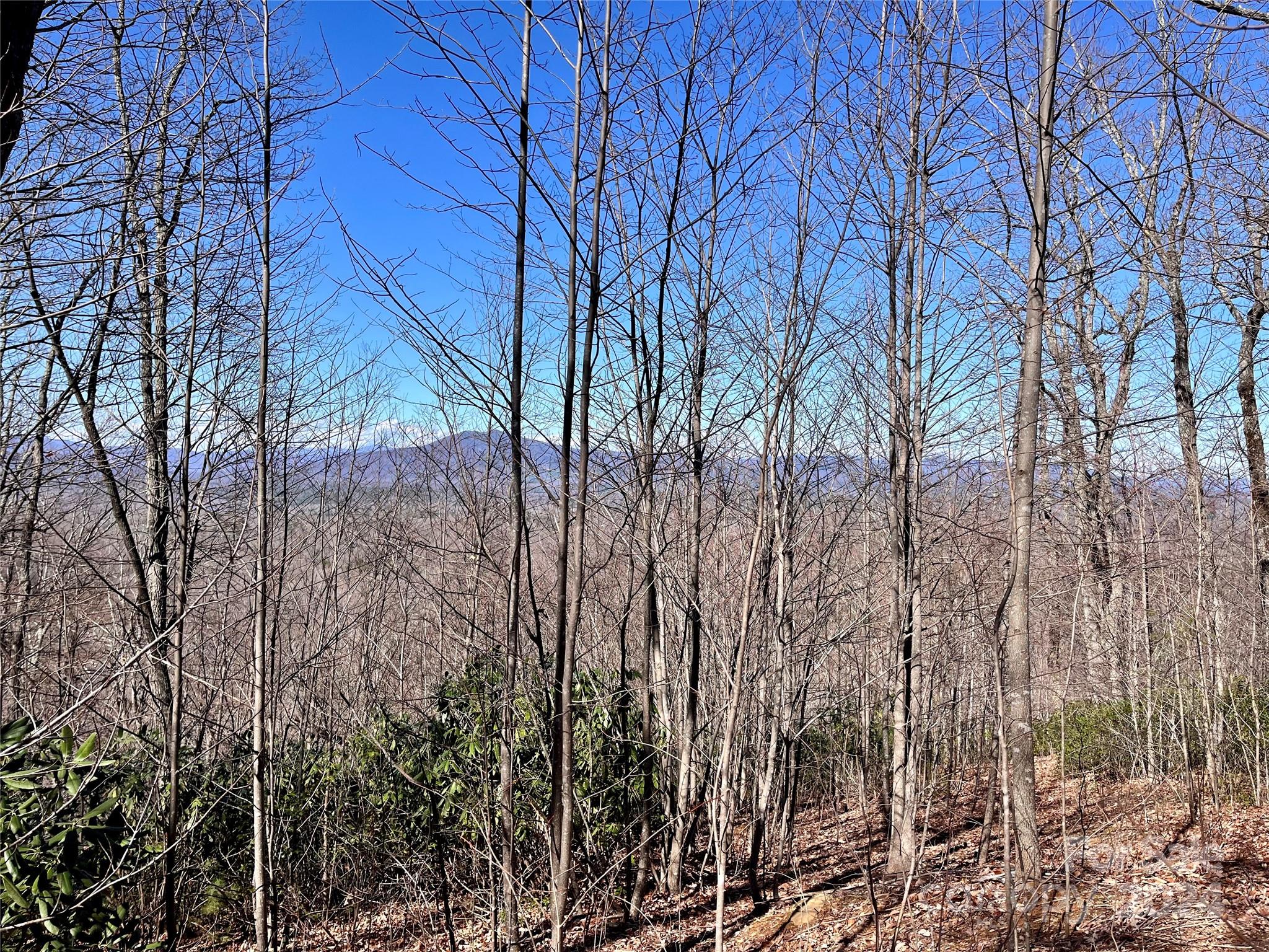 Lot 147 Big View Drive Property Photo 35