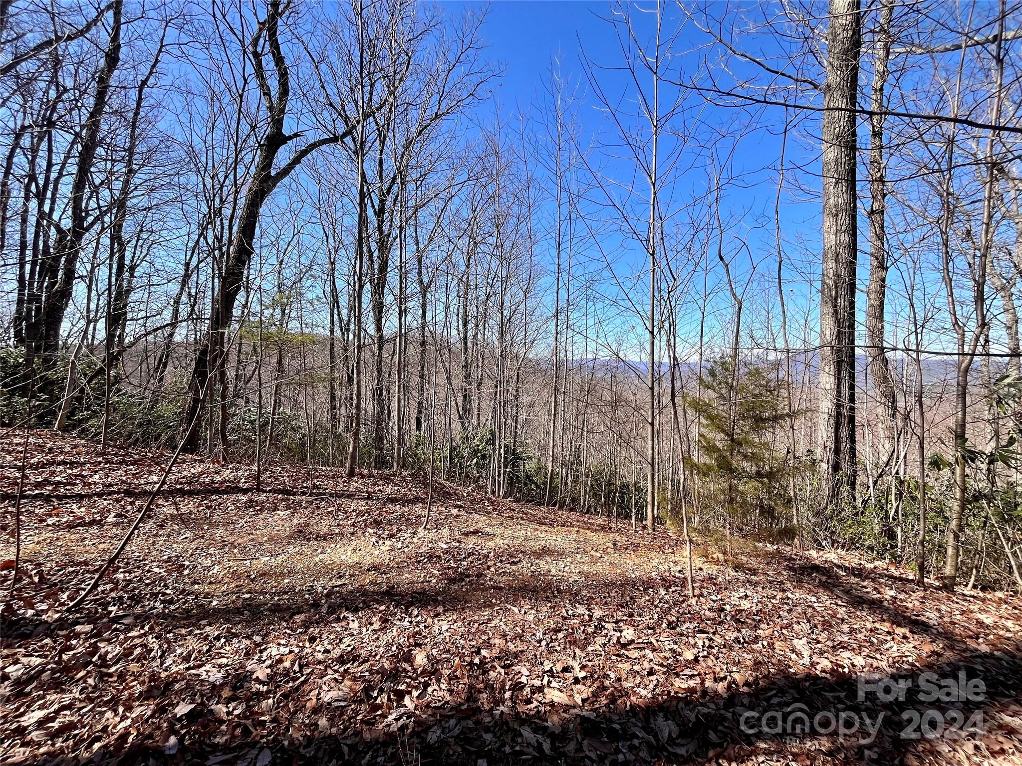 Lot 147 Big View Drive Property Photo 37