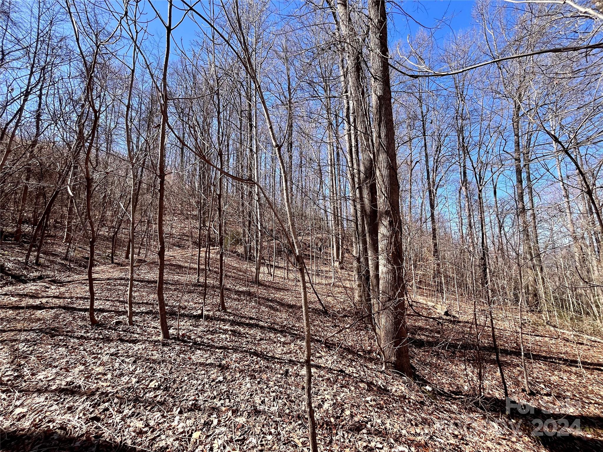 Lot 147 Big View Drive Property Photo 39