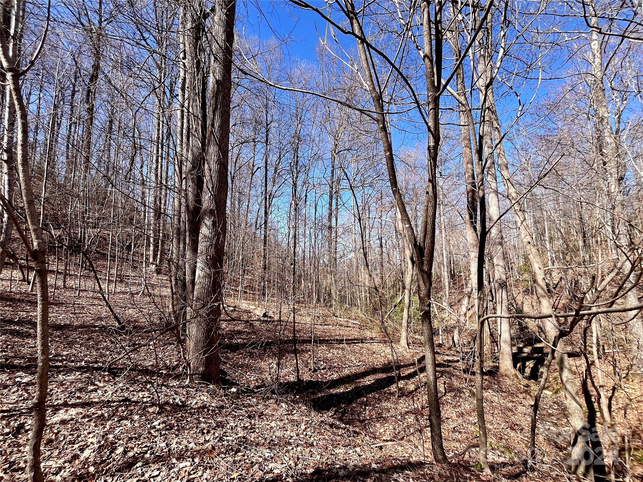 Lot 147 Big View Drive Property Photo 40