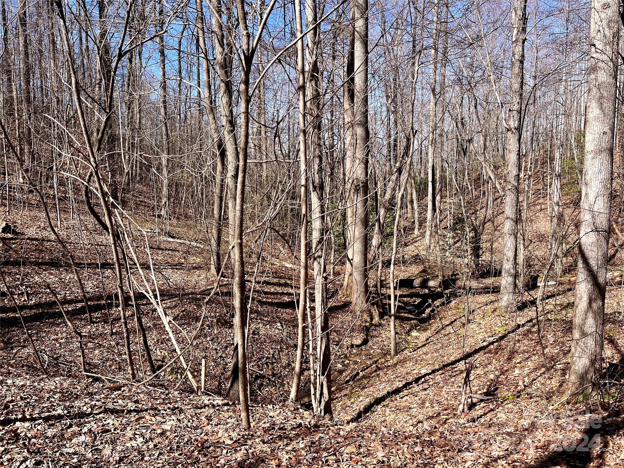 Lot 147 Big View Drive Property Photo 41
