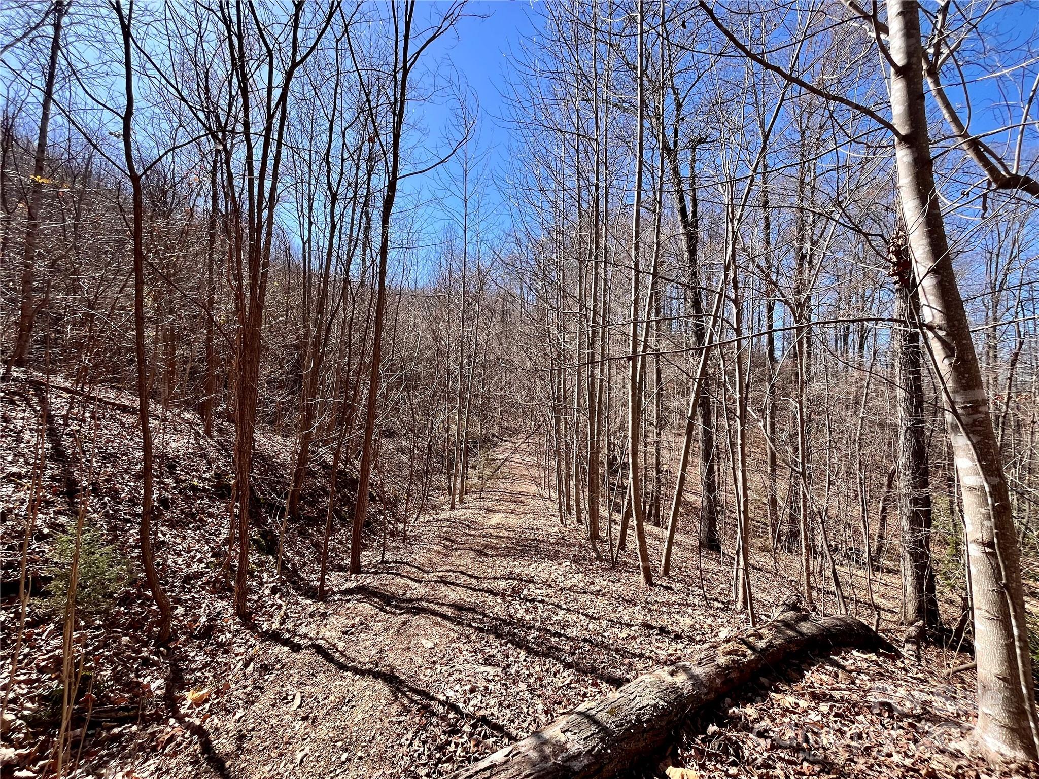 Lot 147 Big View Drive Property Photo 42