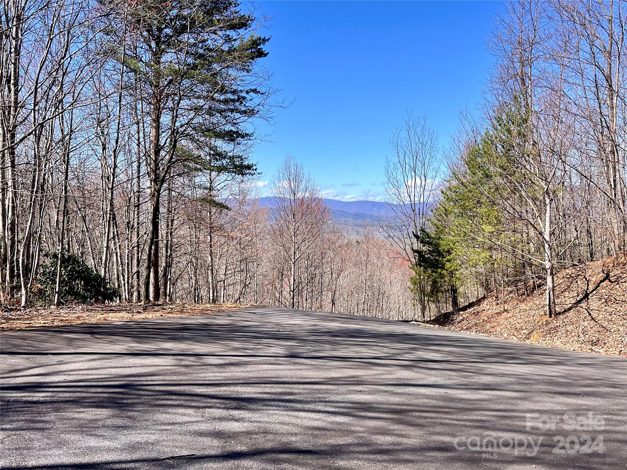 Lot 147 Big View Drive Property Photo 43