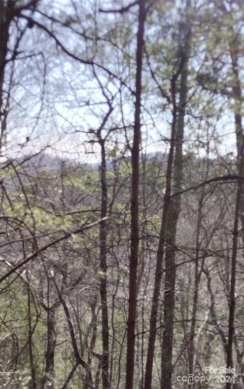 Lot 30 Laurel Valley Drive Property Photo 7