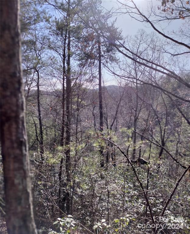 Lot 30 Laurel Valley Drive Property Photo 9