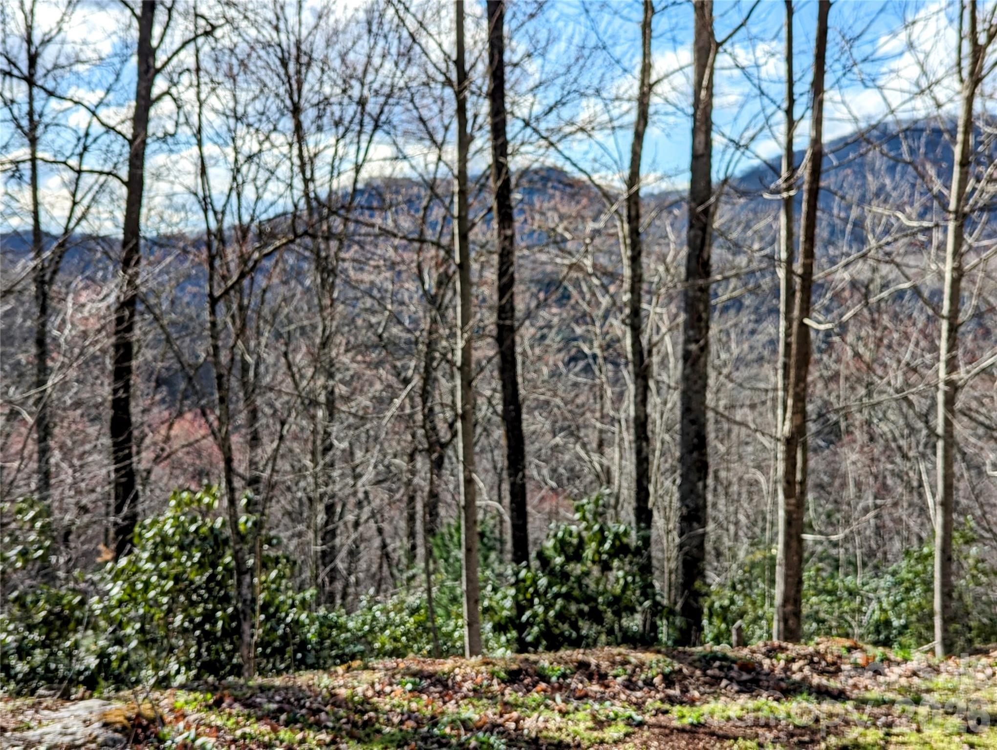 0 Dodgen Ridge Road Property Photo 1