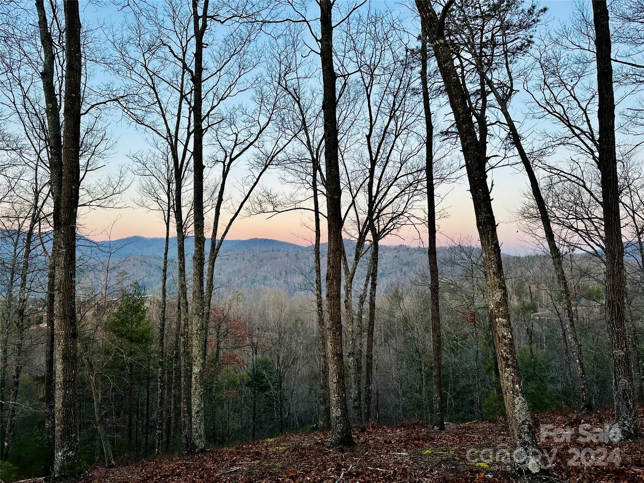 75 Raccoon Run 22 Property Photo 1