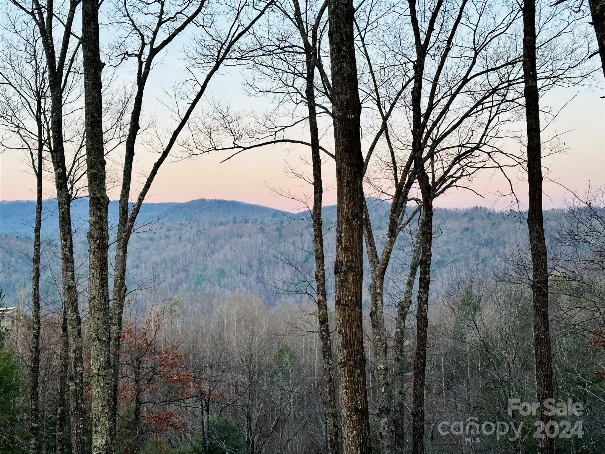 75 Raccoon Run 22 Property Photo 2