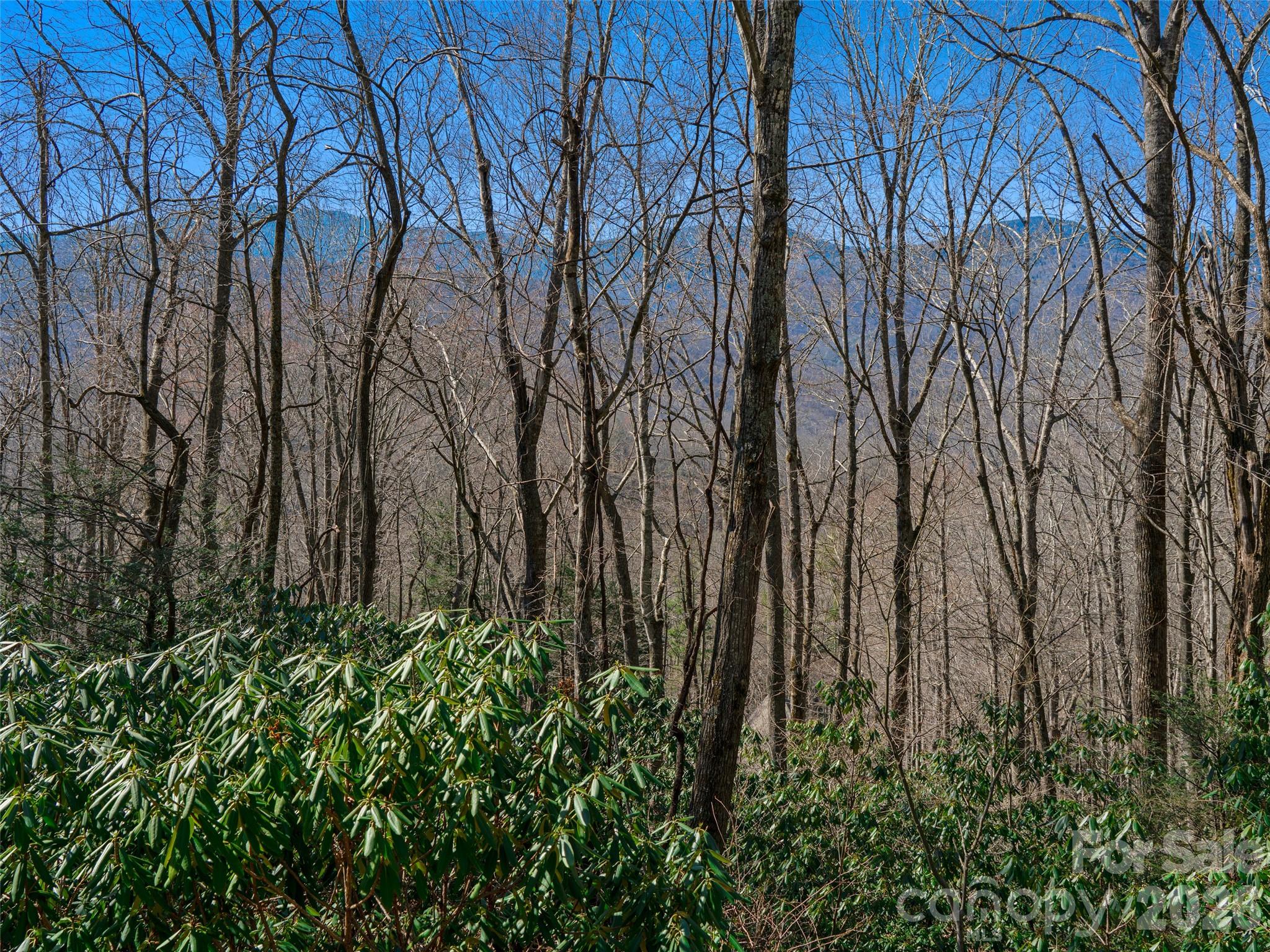 000 Big Ridge Road 62 & 63 Property Photo 3