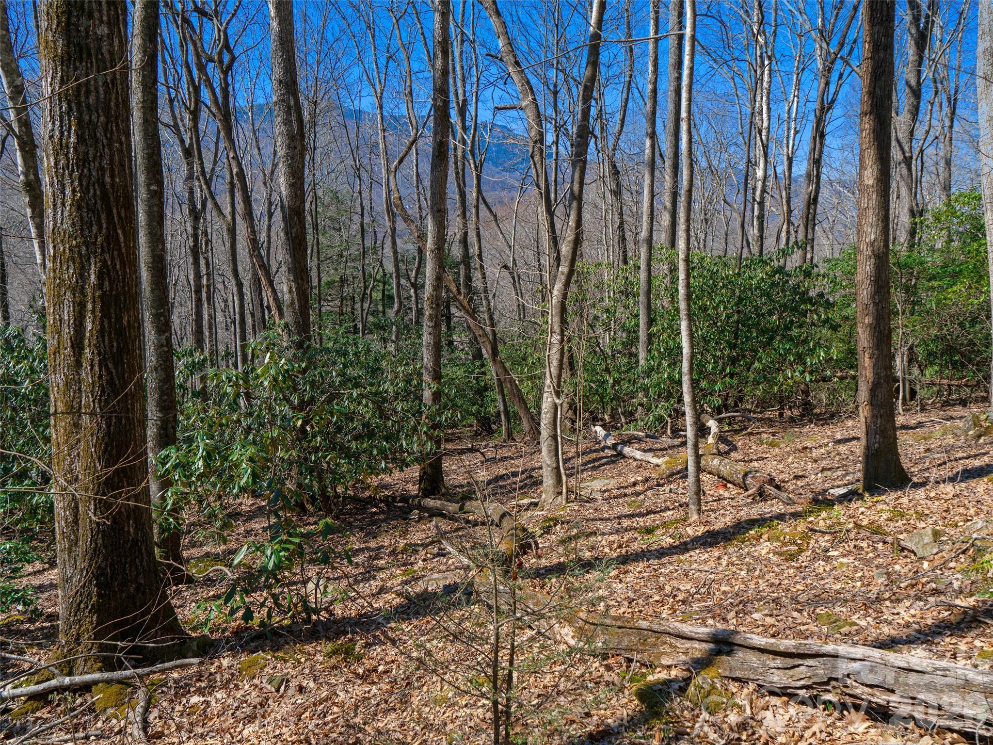 000 Big Ridge Road 62 & 63 Property Photo 8