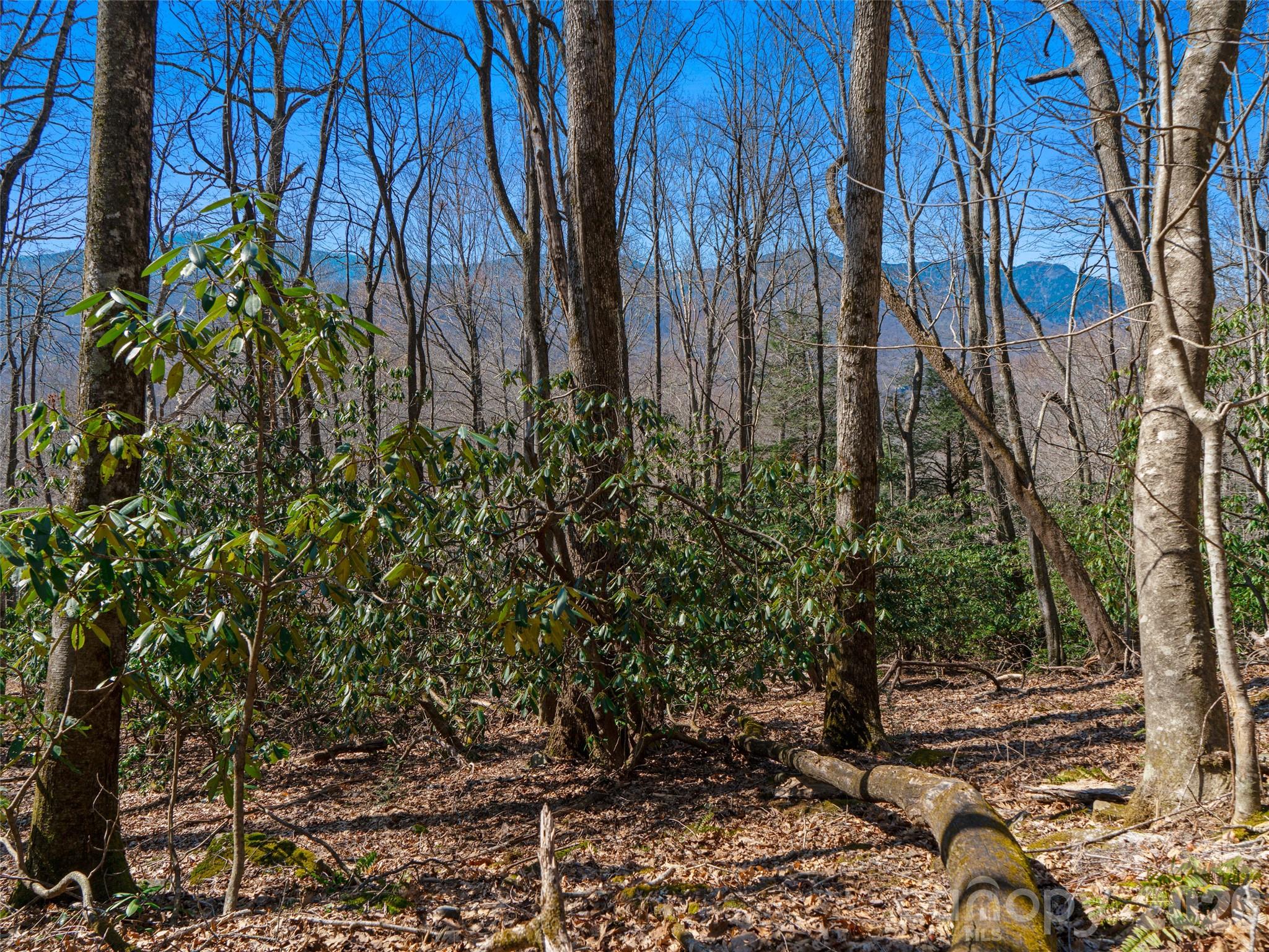 000 Big Ridge Road 62 & 63 Property Photo 14
