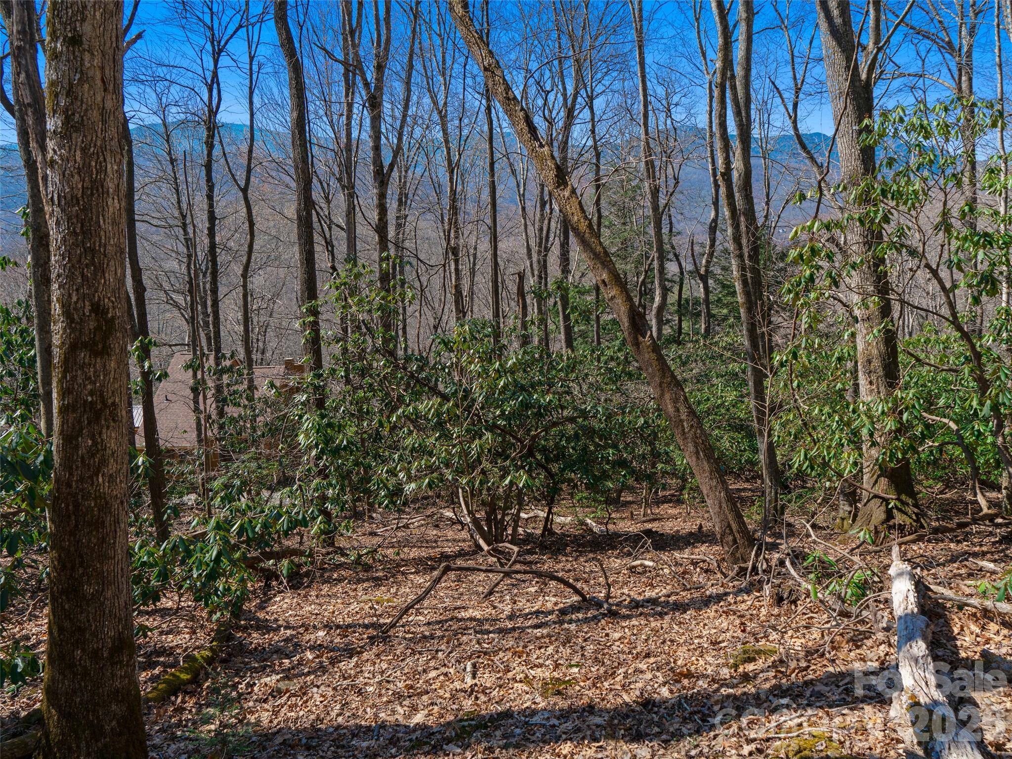 000 Big Ridge Road 62 & 63 Property Photo 15