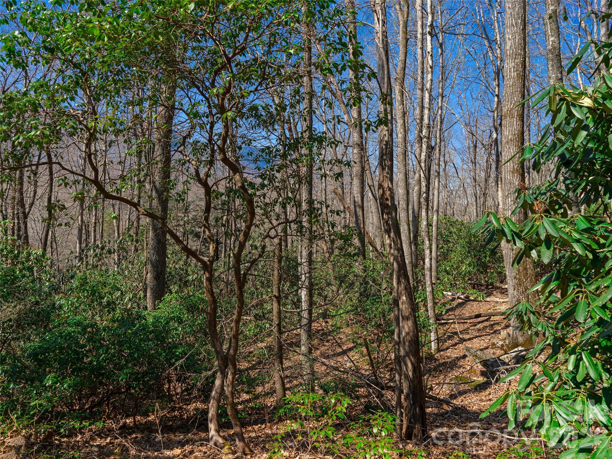 000 Big Ridge Road 62 & 63 Property Photo 17