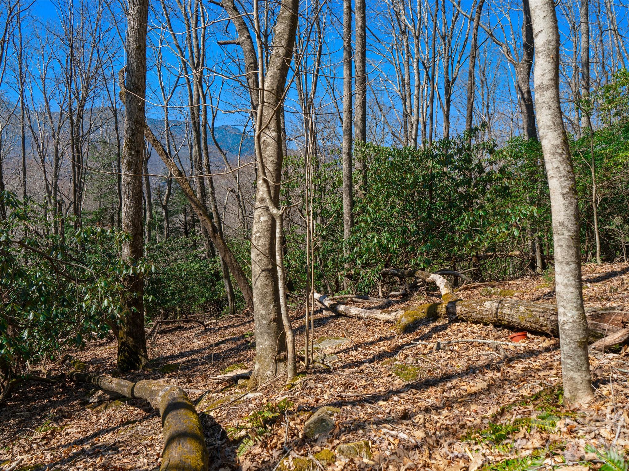 000 Big Ridge Road 62 & 63 Property Photo 18