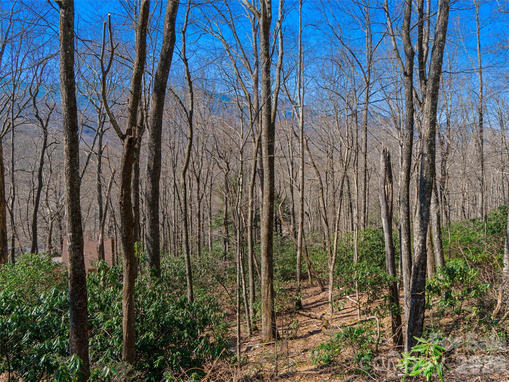 000 Big Ridge Road 62 & 63 Property Photo 19
