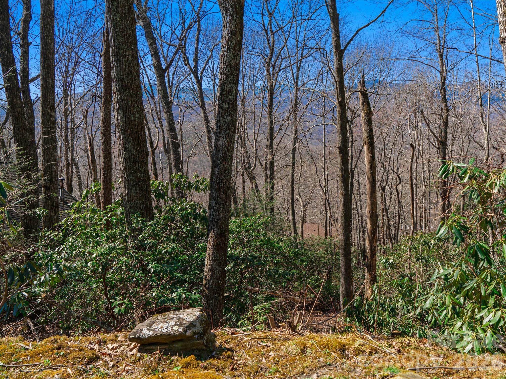 000 Big Ridge Road 62 & 63 Property Photo 25