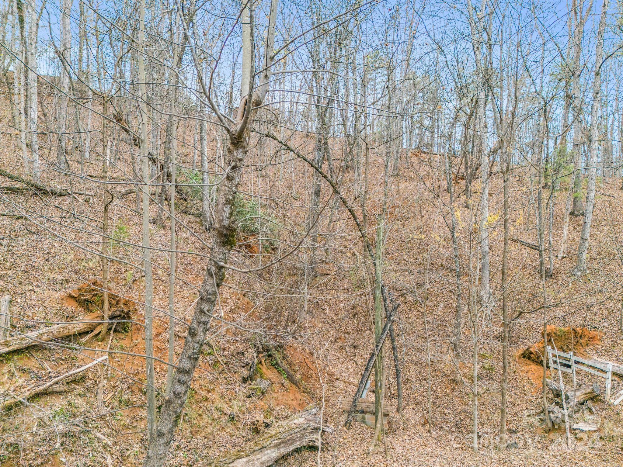 0 Holmes Road Property Photo 10