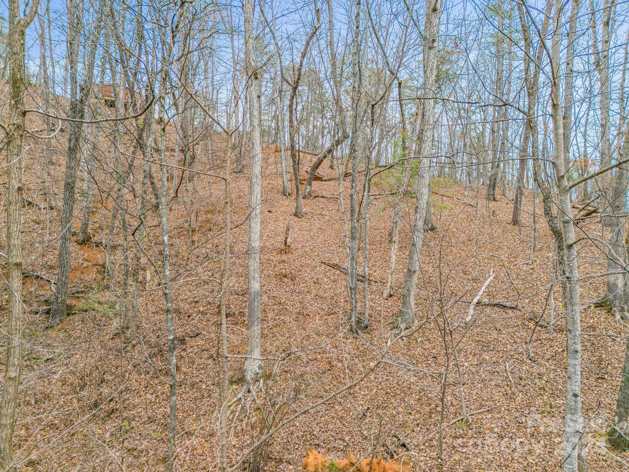 0 Holmes Road Property Photo 11