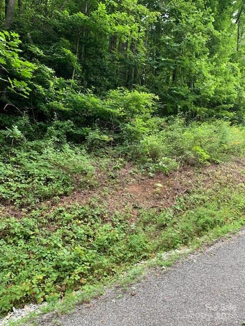 Lot 45-46 Mckenzie Way 45-46 Property Photo 4