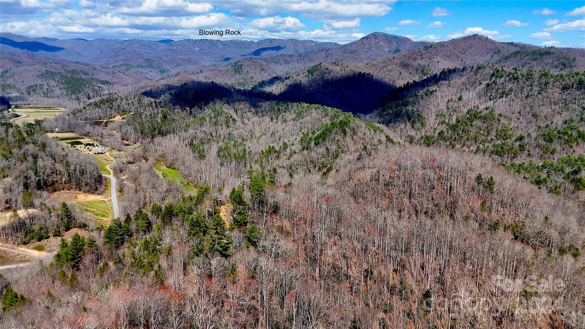 0 Nc Highway 90 E None Property Photo 2