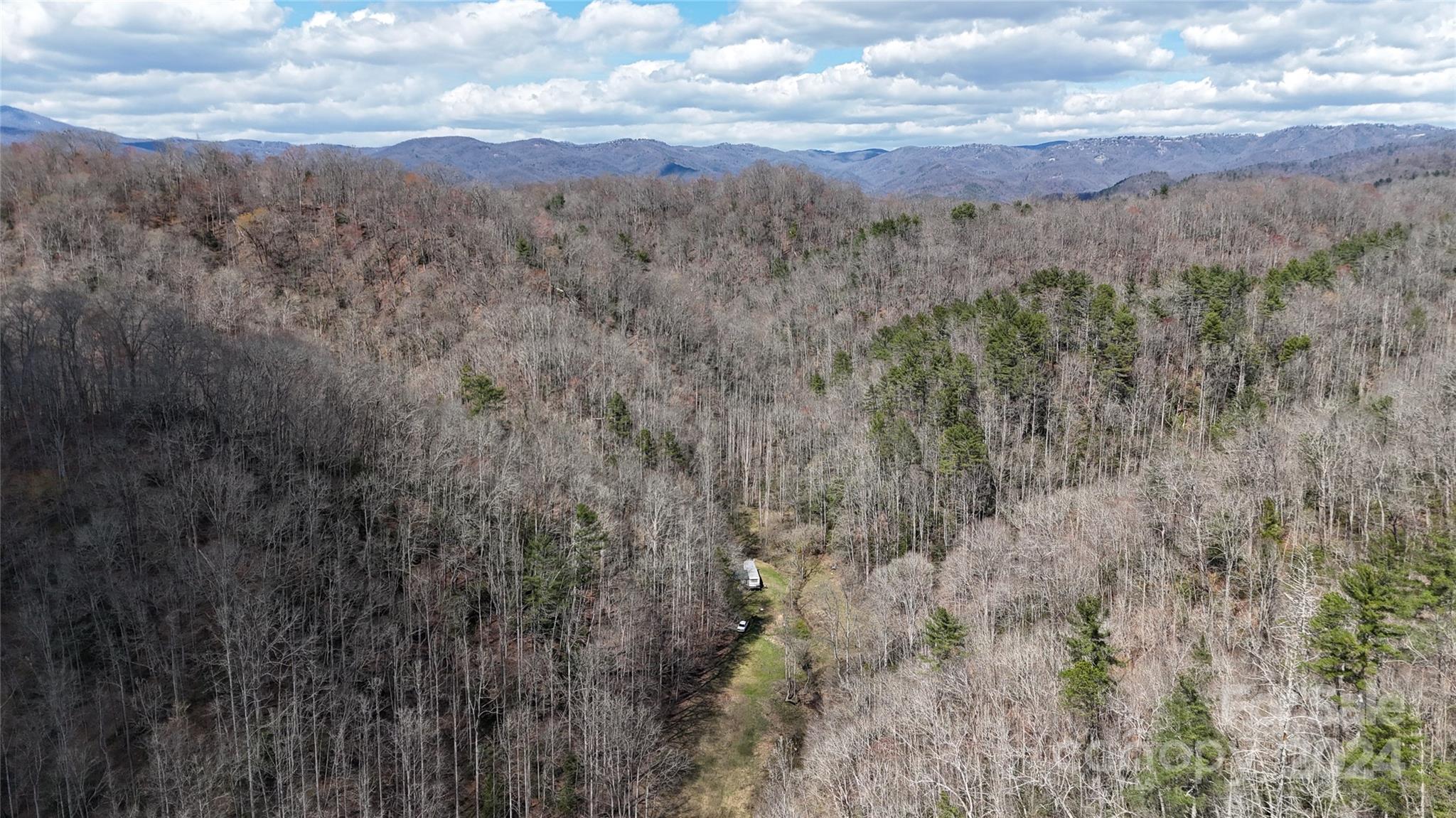 0 Nc Highway 90 E None Property Photo 8