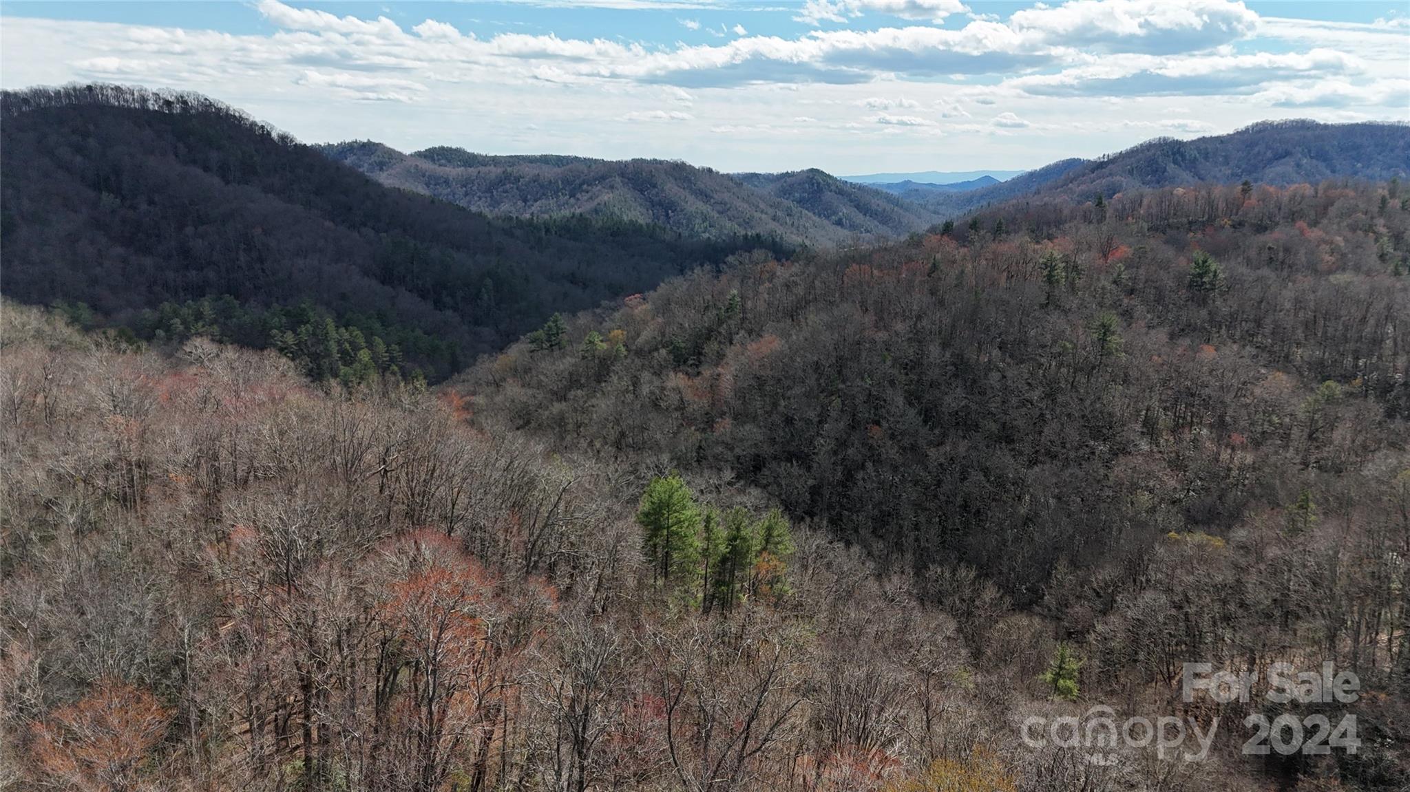 0 Nc Highway 90 E None Property Photo 9
