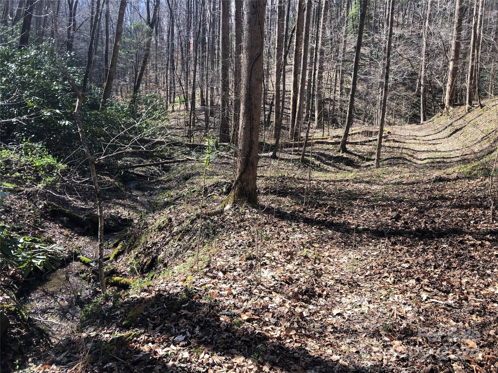 0 Nc Highway 90 E None Property Photo 10