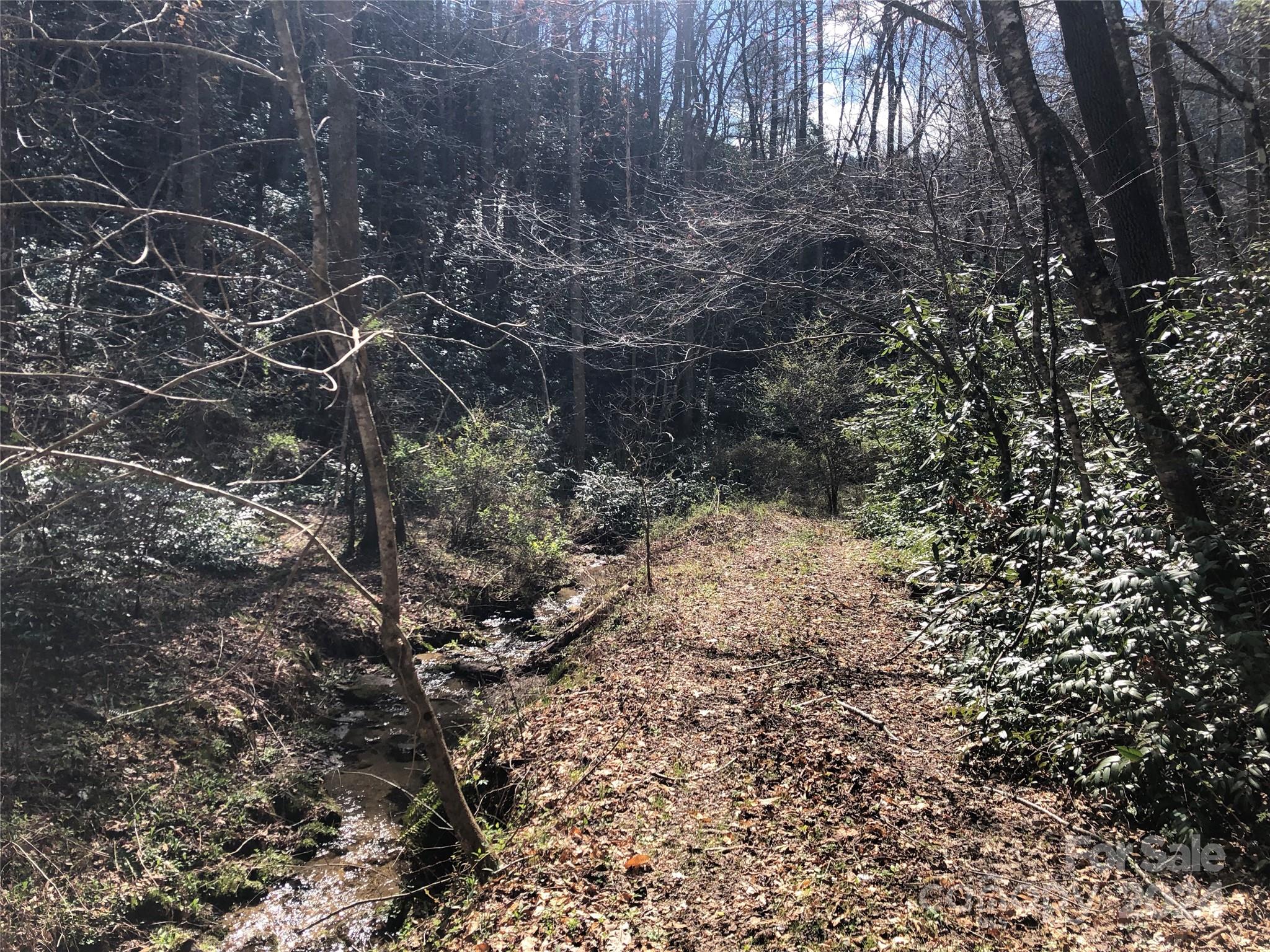 0 Nc Highway 90 E None Property Photo 12