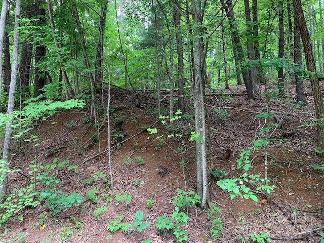 Lot 49-50 Mckenzie Way Property Photo 1