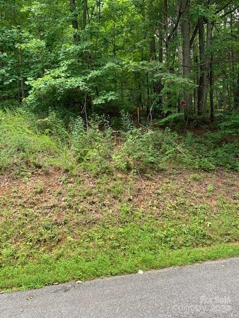Lot 49-50 Mckenzie Way Property Photo 6