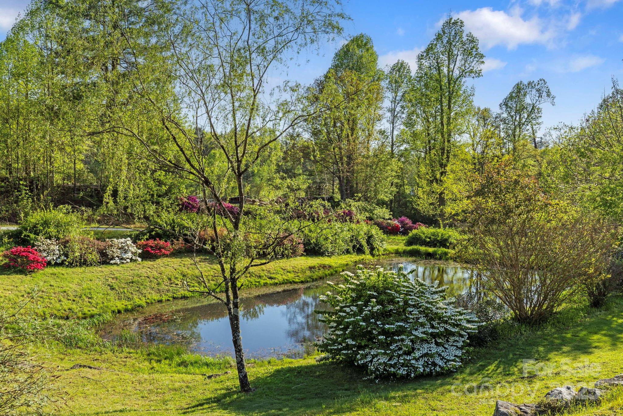 2378 Flat Creek Valley Road Property Photo 10