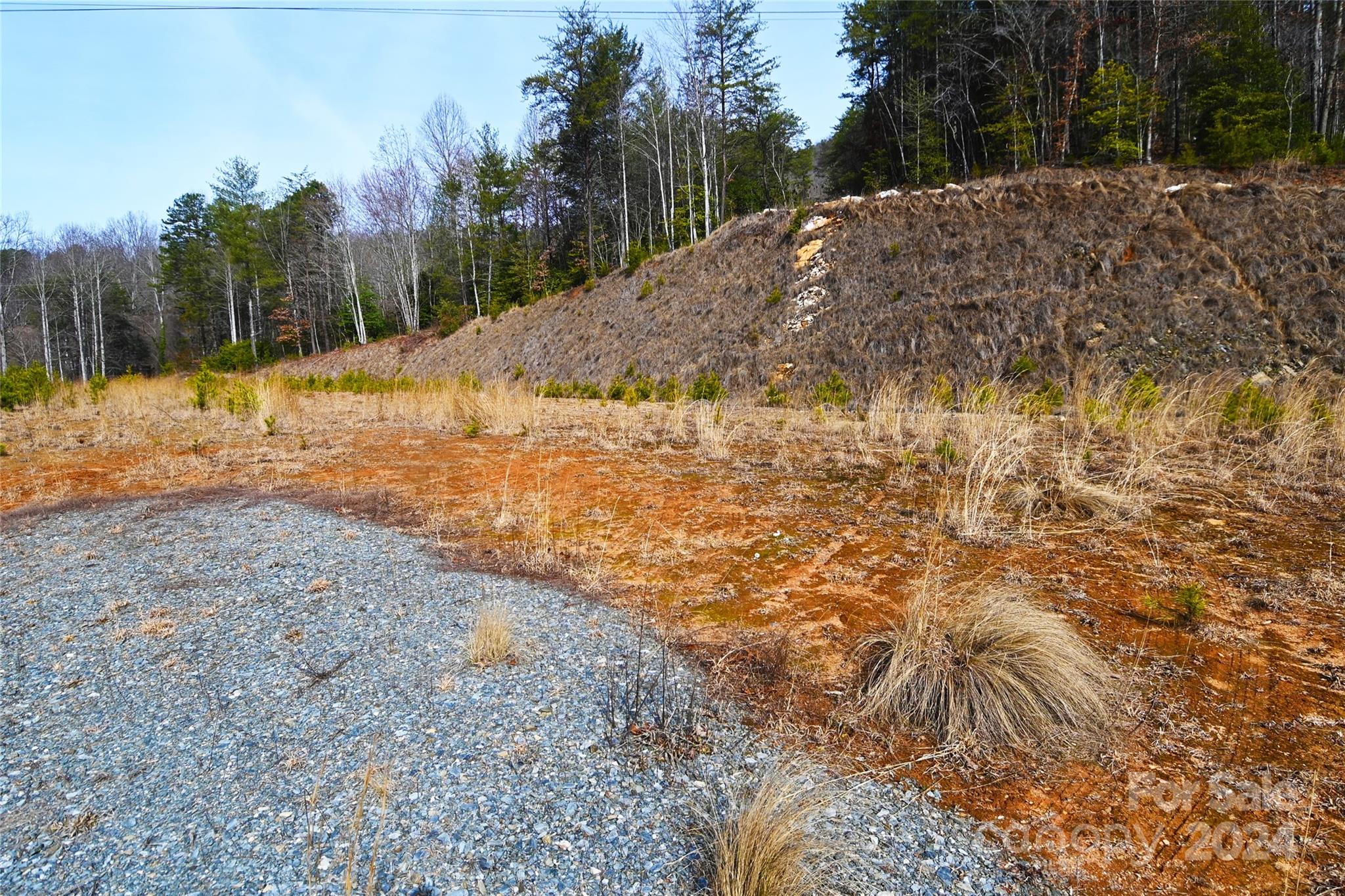 000 Hwy 19 W Highway Tract 1 Property Photo 4