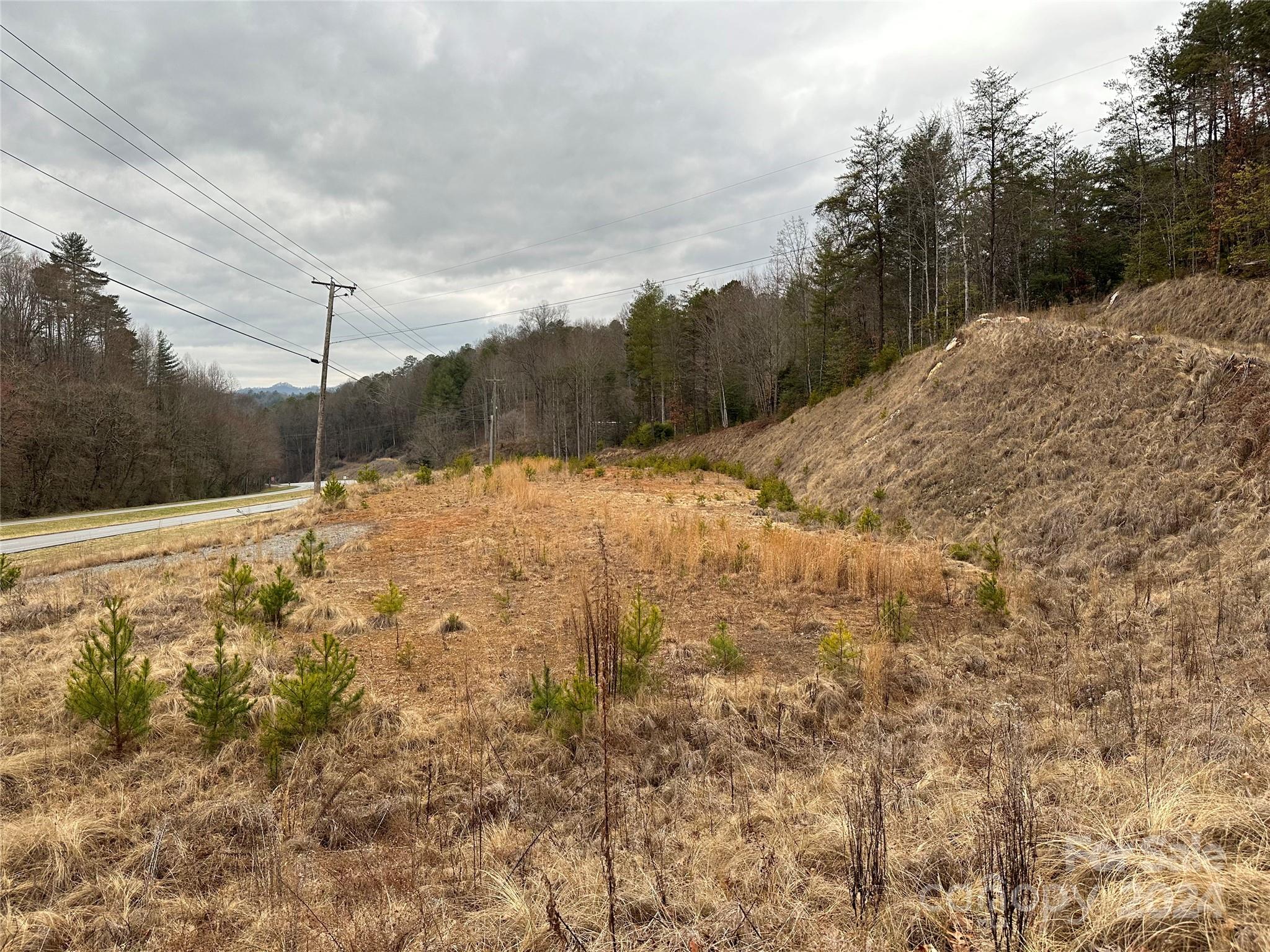 000 Hwy 19 W Highway Tract 1 Property Photo 6