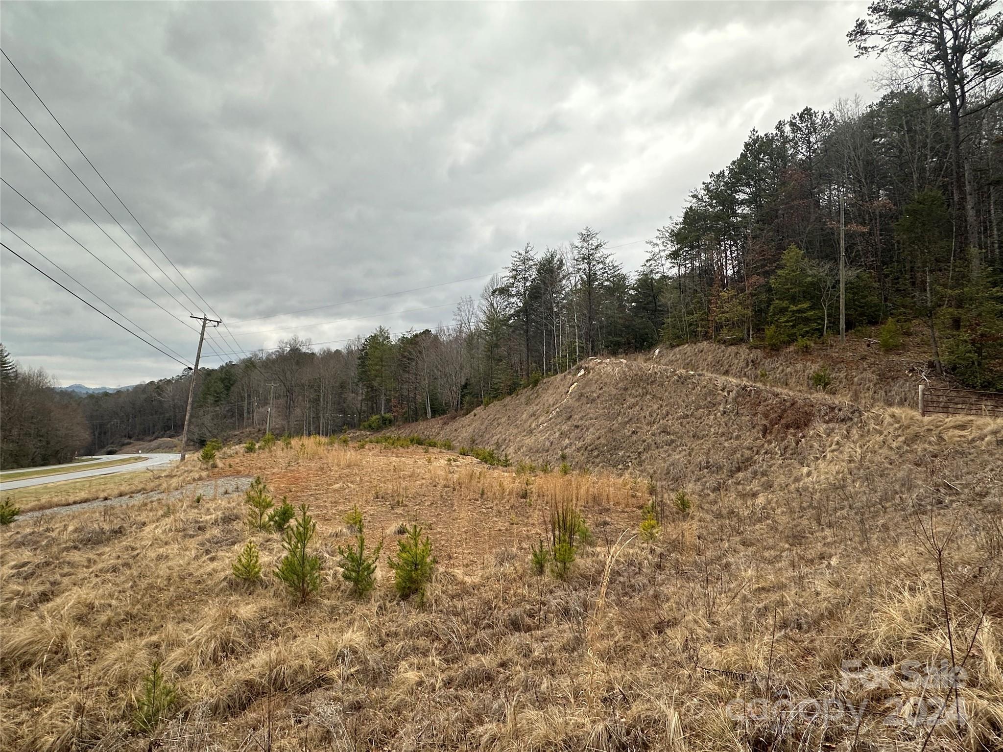 000 Hwy 19 W Highway Tract 1 Property Photo 7