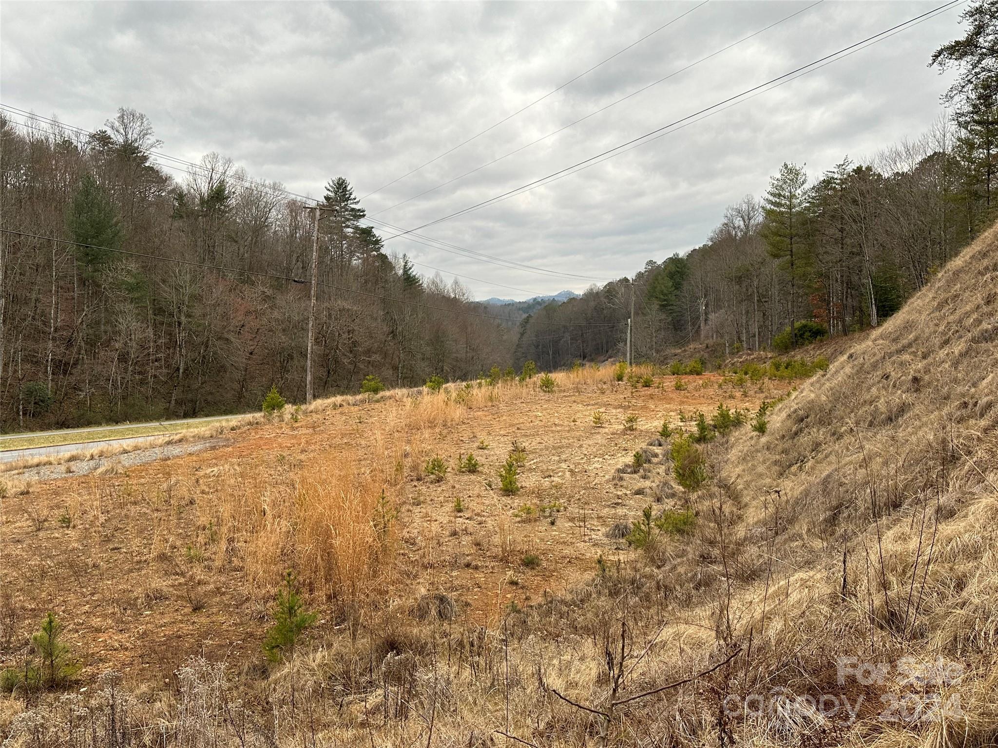 000 Hwy 19 W Highway Tract 1 Property Photo 8