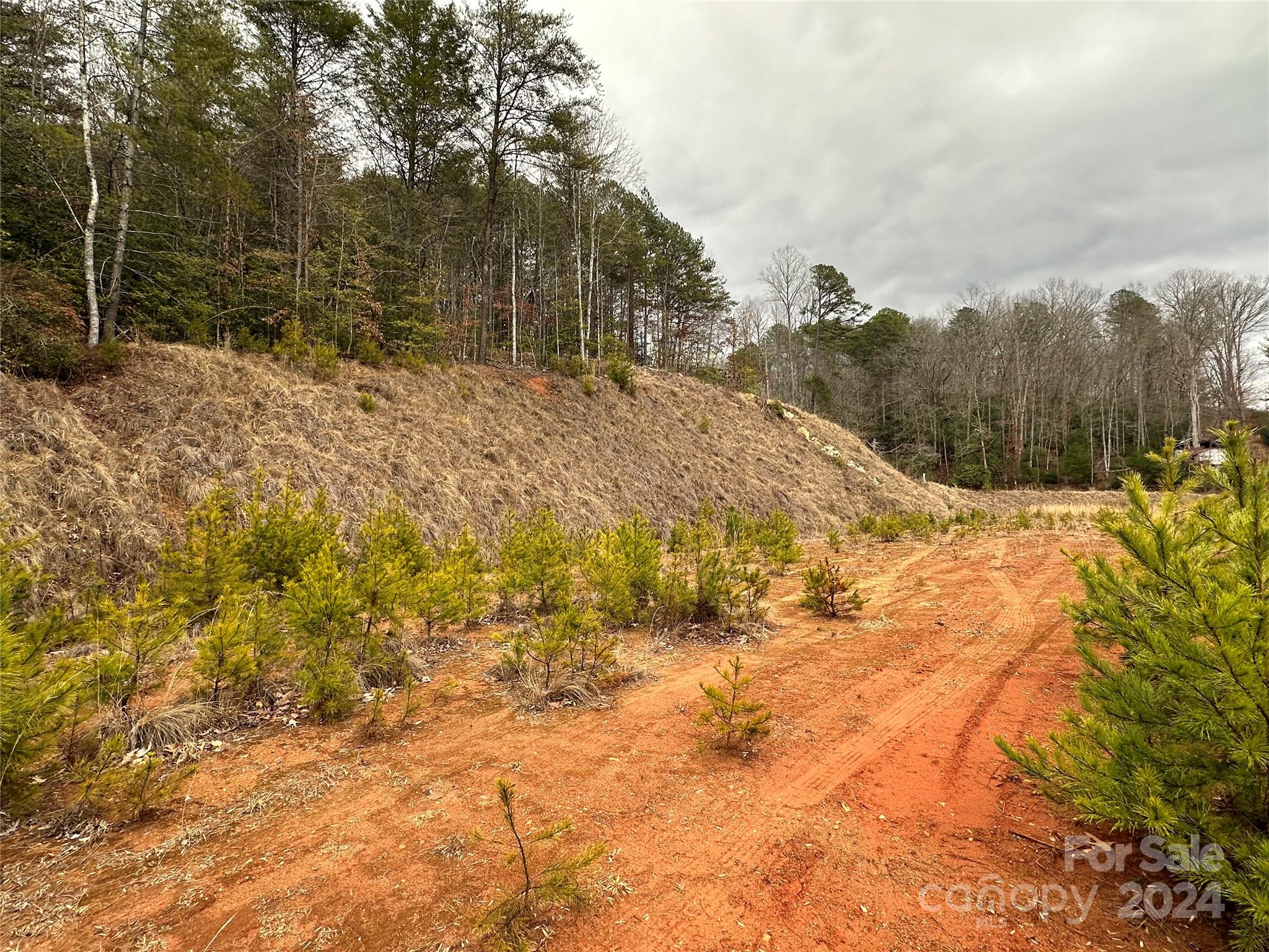 000 Hwy 19 W Highway Tract 1 Property Photo 10