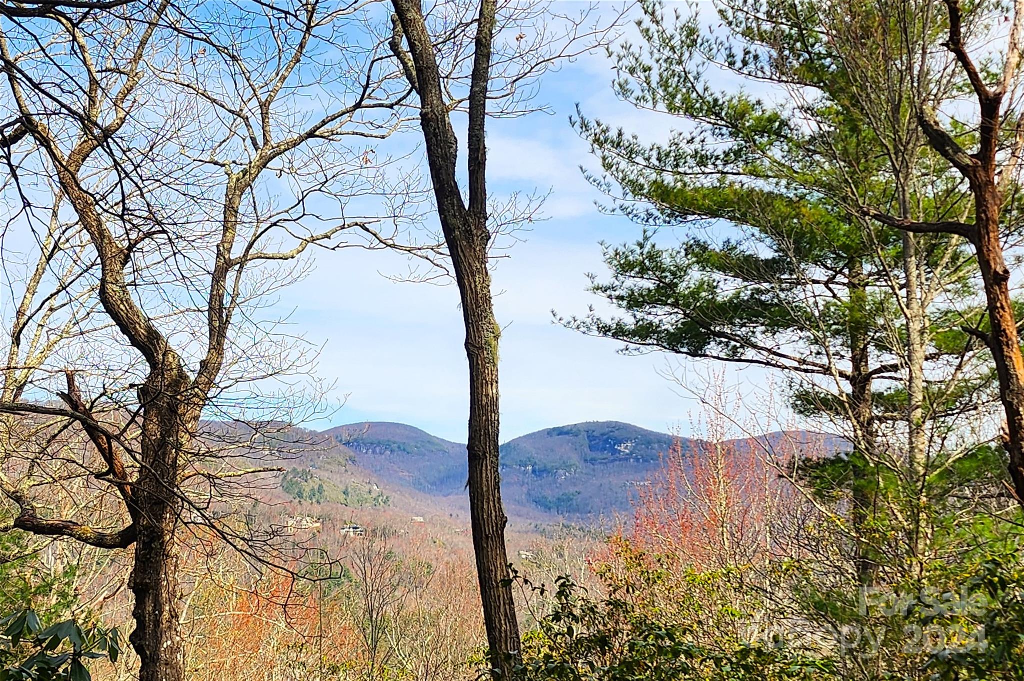 Lot 24 Lakeside Trail 24 Property Photo 1