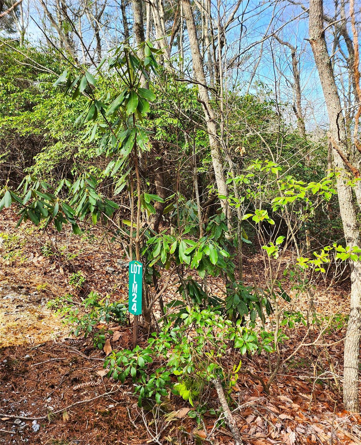 Lot 24 Lakeside Trail 24 Property Photo 6